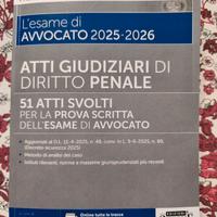 Atti giudiziari di Diritto Penale