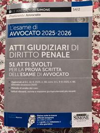 Atti giudiziari di Diritto Penale