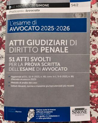 Atti giudiziari di Diritto Penale