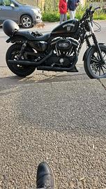 Harley Davidson iron 883 xl