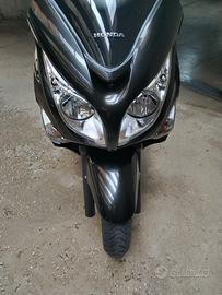 Honda sw-t600 da vetrina