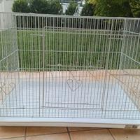 gabbia per uccelli bianca