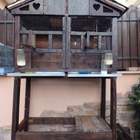voliera per pappagalli 