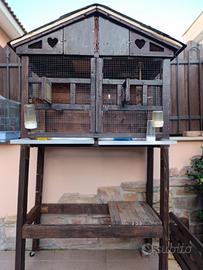 voliera per pappagalli 