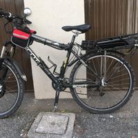 bici con pedalata assistita