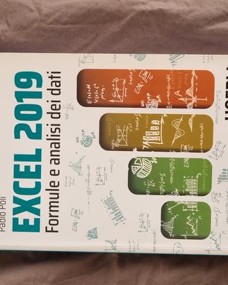 excel 2019 paolo poli