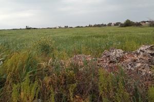 Rurale