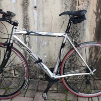 Biciclette sport (coppia)