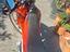 Immagine 4