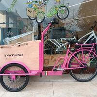 Cargo Bike Panda Bike 🐼 elettrica 