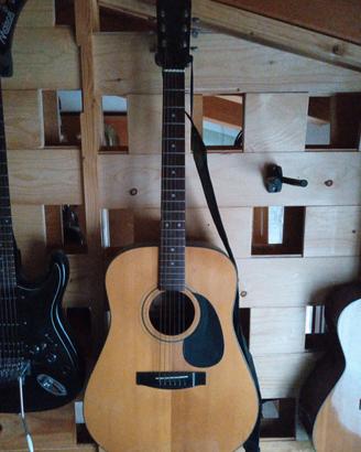 chitarra acustica dreadnought 