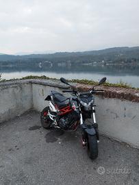 Benelli Tnt 125