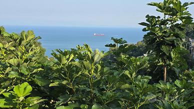 CASA SEMINDIPENDENTE A VIETRI SUL MARE