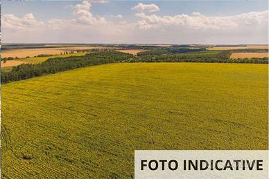 Terreno agricolo a Bassano del Grappa (VI)