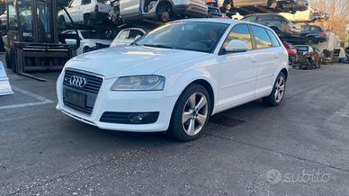 RICAMBI AUDI A3 (8P)