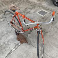 Bici CITTERIO 28’’