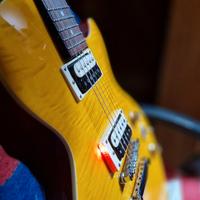 EPIPHONE Slash Les Paul Special II