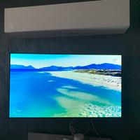 Tv LG Oled 55 B8 pla del 2018