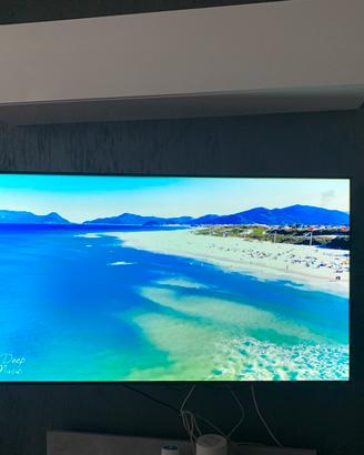 Tv LG Oled 55 B8 pla del 2018