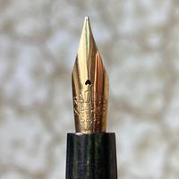 Penna stilografica radius superior