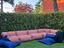 Immagine 3