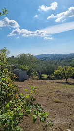 Terreno agricolo campagnano di Roma