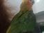 Immagine 4