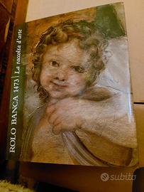 Libro la raccolta d'arte