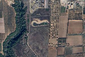 Terreno agricolo a Statte (58000 mq)