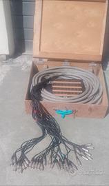 Ciabatta Audio Professionale (Stage Box) 