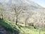 Immagine 27