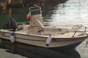 Barca 4.60 con motore Yamaha 25CV