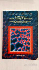 Struttura delle Piante in Immagini