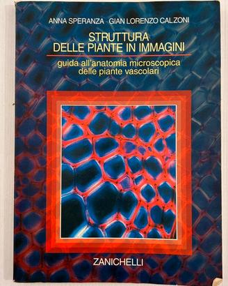 Struttura delle Piante in Immagini