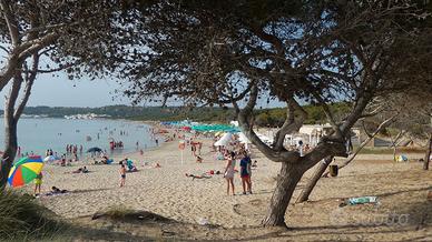 Da oggi in lastminut sulmare a gallipoli rivabella