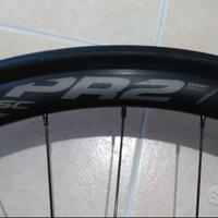 Coppia cerchi Giant P-PR2 perno passante.