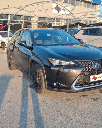 Lexus UX 250h Hybrid Business SOLI KM 43000 !!!!