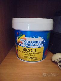 Idropittura tinta lavabile salmone 5 litri