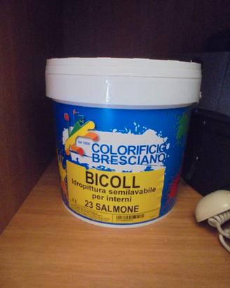 Idropittura tinta lavabile salmone 5 litri