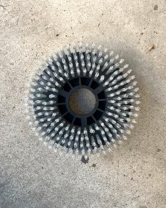 Elettrod spazzole per lavapavimenti