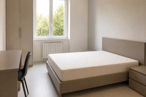 Camera Singola con Garage a Borgo Roma