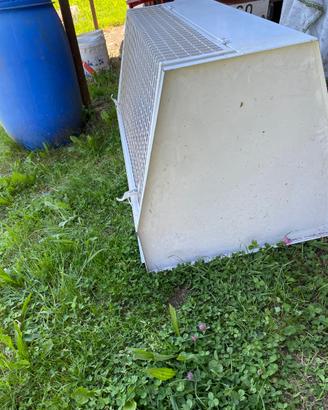 Kennel cane