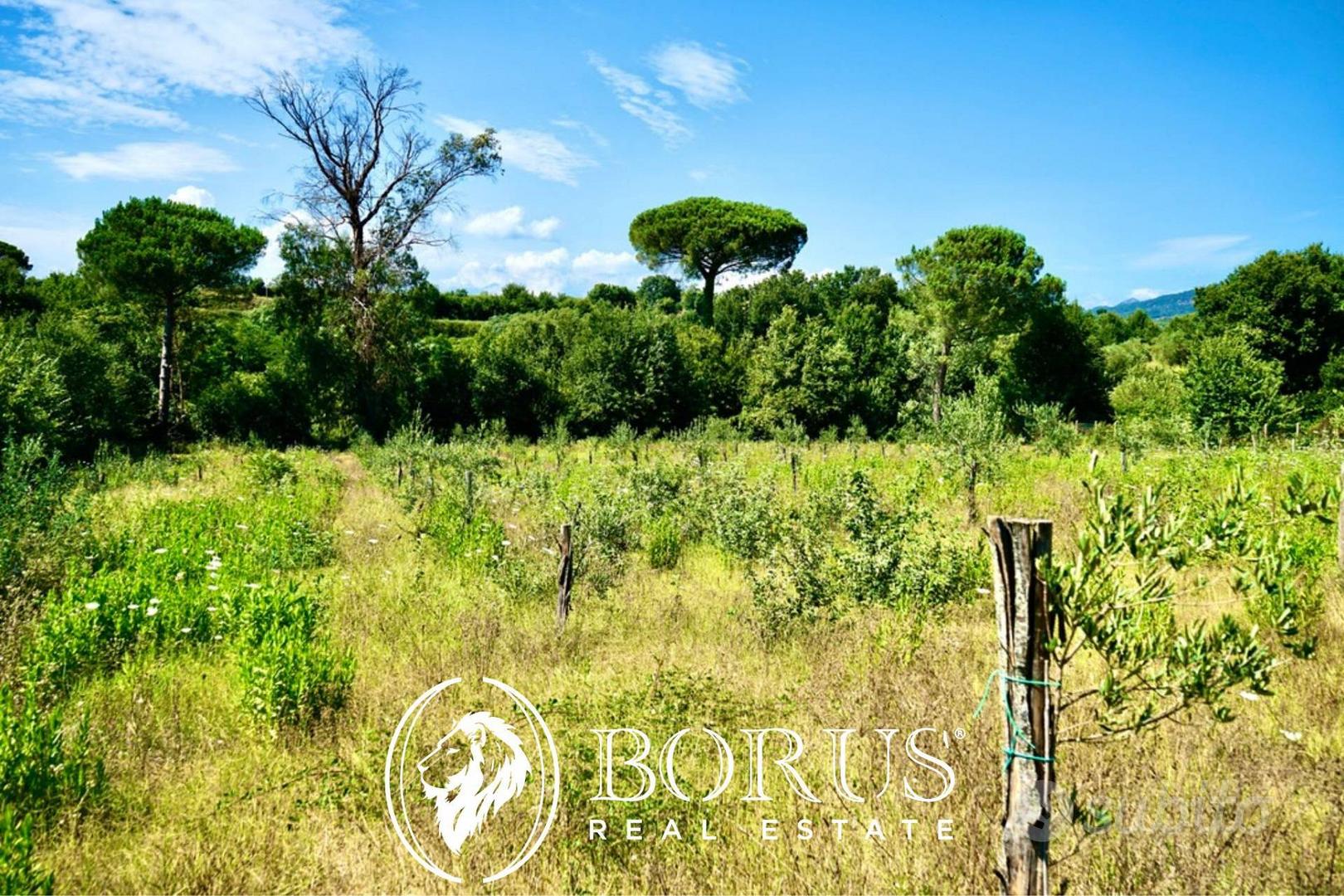 Terreno Agricolo - Sessa Aurunca - Vista 3