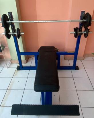 PANCA PESI TECHNOGYM + KIT MANUBRI DOMYOS (NUOVO)