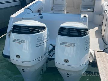 Coppia motori Suzuky 250 cv anno 2023