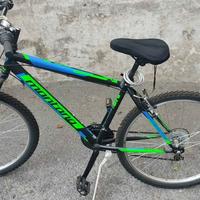 Mountain Bike Montana 26 pollici