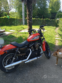 Harley davidson 883r