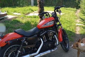 Harley davidson 883r