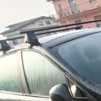 portapacchi barre portatutto scenic