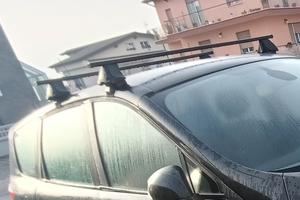 portapacchi barre portatutto scenic